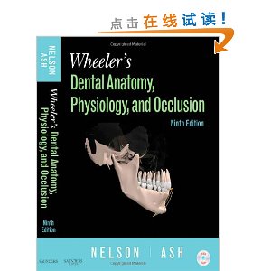 Wheeler's Dental Anatomy, Physiology and Occlusion