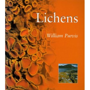 Lichens