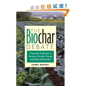 The Biochar Debate: Charcoal's Potential to Reverse Climate Change and Build Soil Fertility