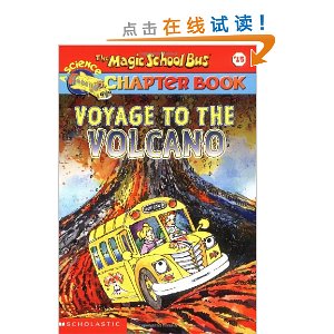 The Magic School Bus Chapter Book, #15