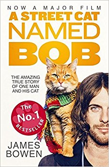 һֻбĽè A Street Cat Named Bob James Bowen Hodder Paperbacks èè