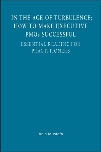 In the Age of Turbulence: How to Make Executive Pmos Successful: Essential Reading for Practitioners