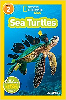 National Geographic Readers: Sea Turtles