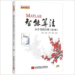 MATLAB㷨30(2)(DVD)