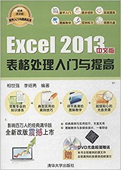 ߴ:Excel2013İ(廪)()