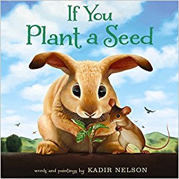 If You Plant a Seed