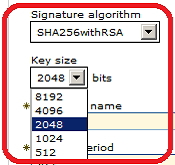 WebSphere Application Server V7V8  V8.5 еĸ߼ȫԼǿ 1 : ȫԼǿĸͷ