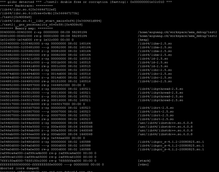 memory leak & double freeôŲ