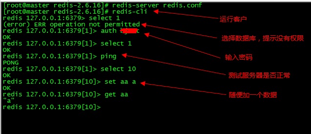 02_Redis.confļ