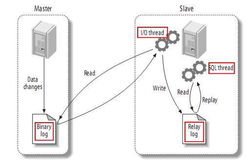 ˽MySQL(Replication)