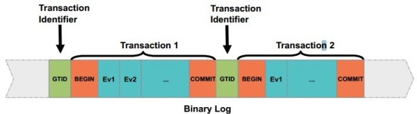 MySQL 5.6 ȫ IDGTIDԭ