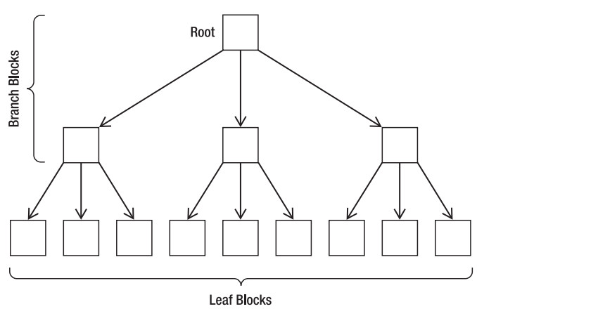 Pro Oracle SQLChapter3-3.2 Index Scan Access Methods-3.2.1 Index Structure