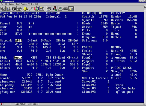 AIX 5L Ż  :  CPU