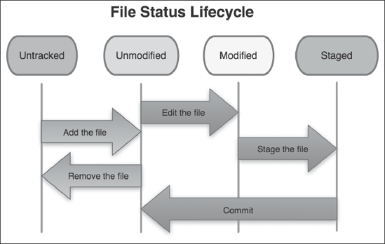 Chapter . Git Basics