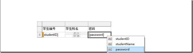 Vs2010rdlcDataTableԴ