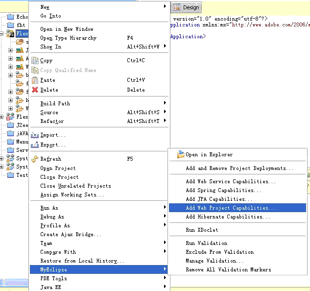 MyEclipse6.5 + Adobe Flex Builder  